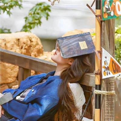 哥斯拉大战机械哥斯拉