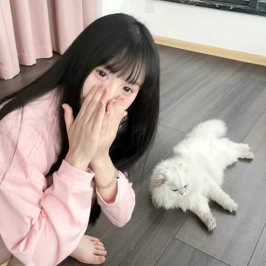 象限之眼